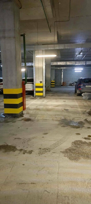 Екатеринбург, ул. Чкалова, 231 (УНЦ) - фото гаража (2)