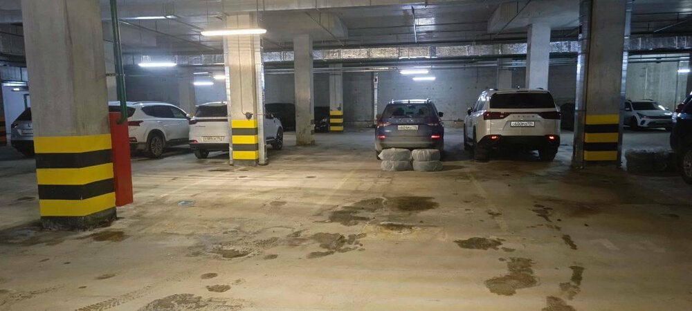 Екатеринбург, ул. Чкалова, 231 (УНЦ) - фото гаража (3)