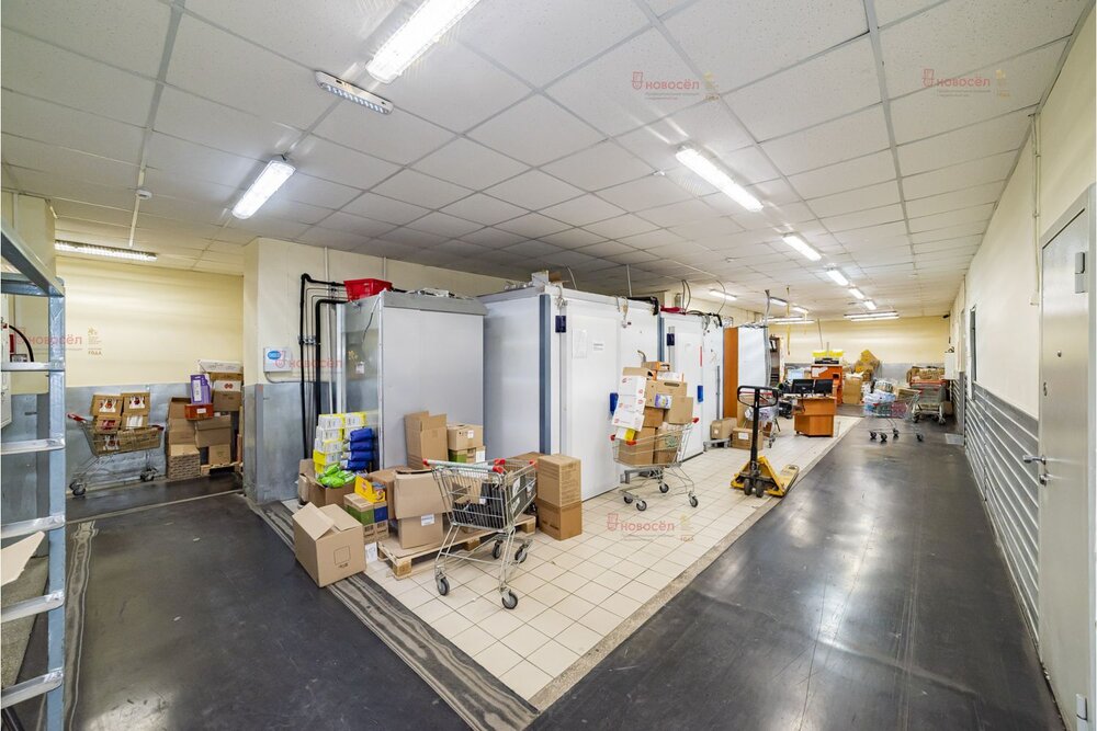 г. Полевской, ул. Вершинина, 35 (городской округ Полевской) - фото торговой площади (4)