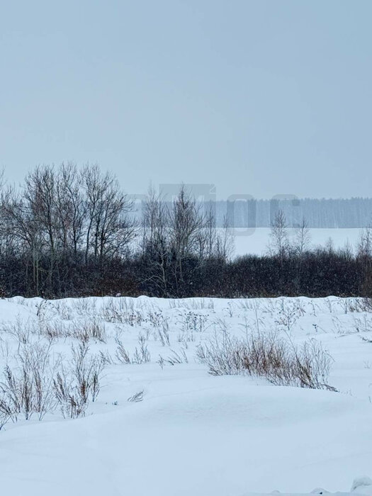 д. Гусева, ул. Вознесенская, 38 (городской округ Белоярский) - фото земельного участка (4)