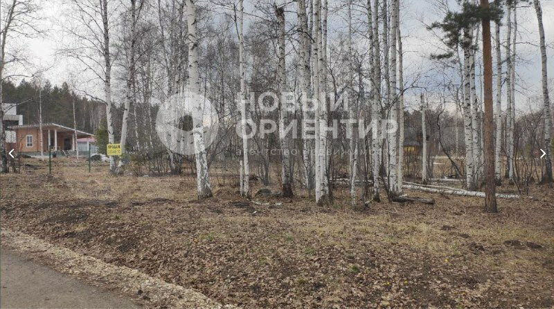 к.п. Заповедник, ул. Сокол (городской округ Сысертский, п. Габиевский) - фото земельного участка (5)