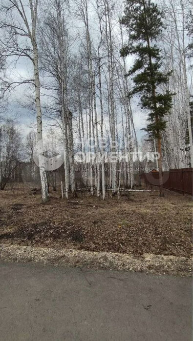 к.п. Заповедник, ул. Сокол (городской округ Сысертский, п. Габиевский) - фото земельного участка (6)