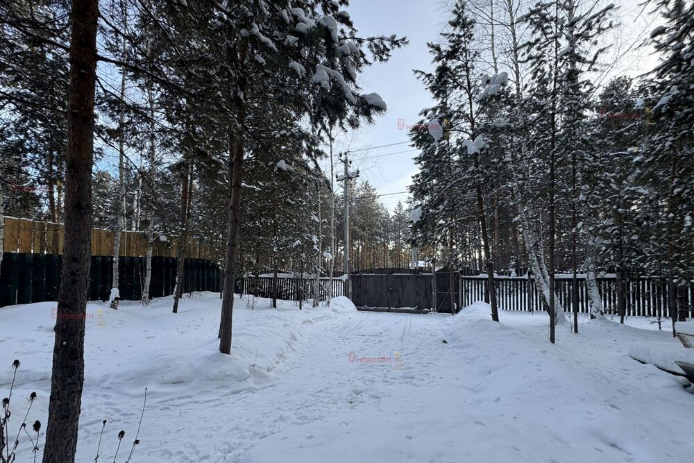 Екатеринбург, к/с Брусничка (Палкинский торфяник) - фото сада (2)