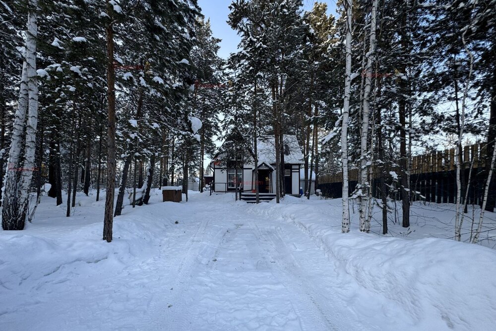 Екатеринбург, к/с Брусничка (Палкинский торфяник) - фото сада (5)