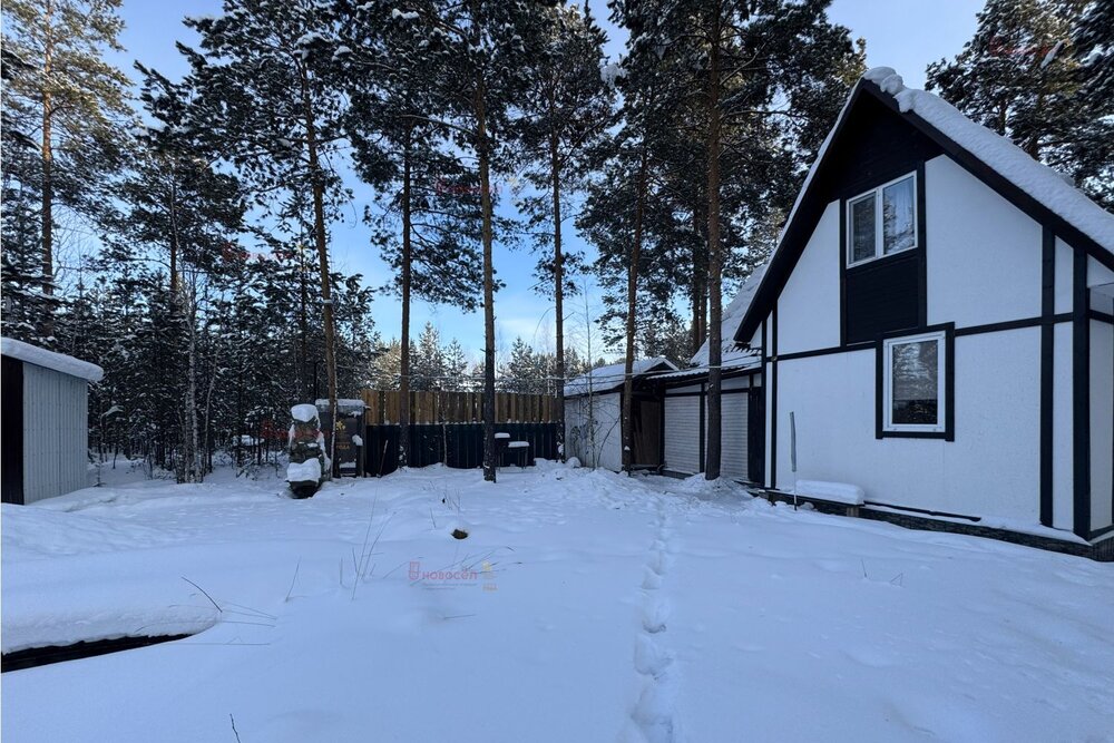 Екатеринбург, к/с Брусничка (Палкинский торфяник) - фото сада (6)