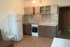 Екатеринбург, ул. Дорожная, 18 (Вторчермет) - фото квартиры