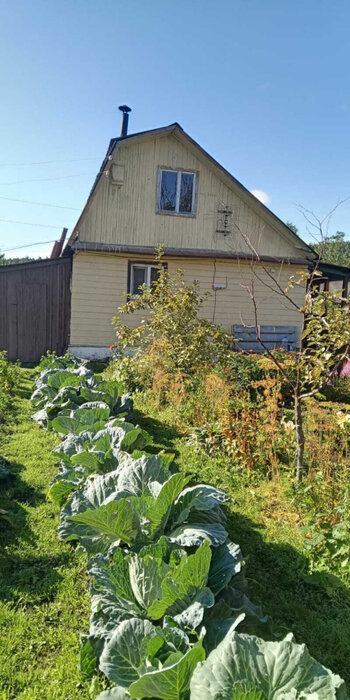 Екатеринбург, СНТ Радуга-1 - фото сада (1)