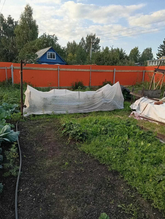 Екатеринбург, СНТ Радуга-1 - фото сада (3)
