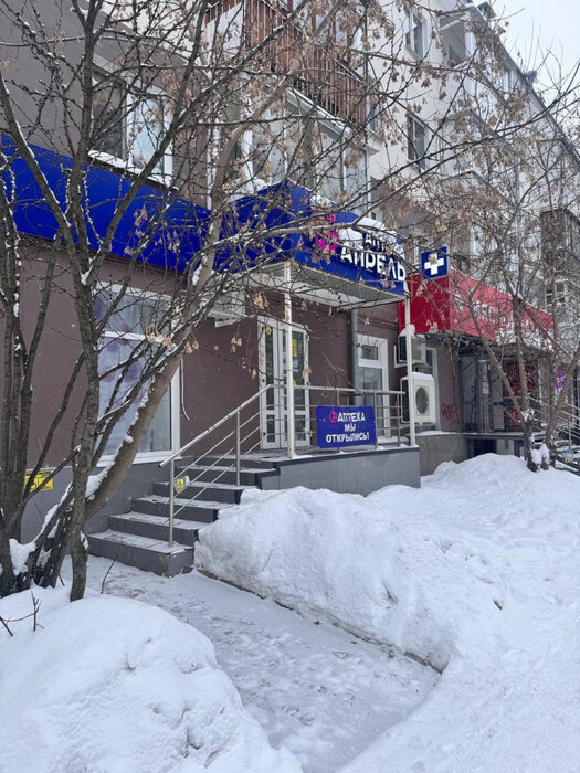 г. Верхняя Пышма, ул. Мамина-Сибиряка, 4 (городской округ Верхняя Пышма) - фото готового бизнеса (1)