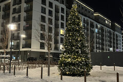 Екатеринбург, ул. Ландау, 7б (Академический) - фото квартиры