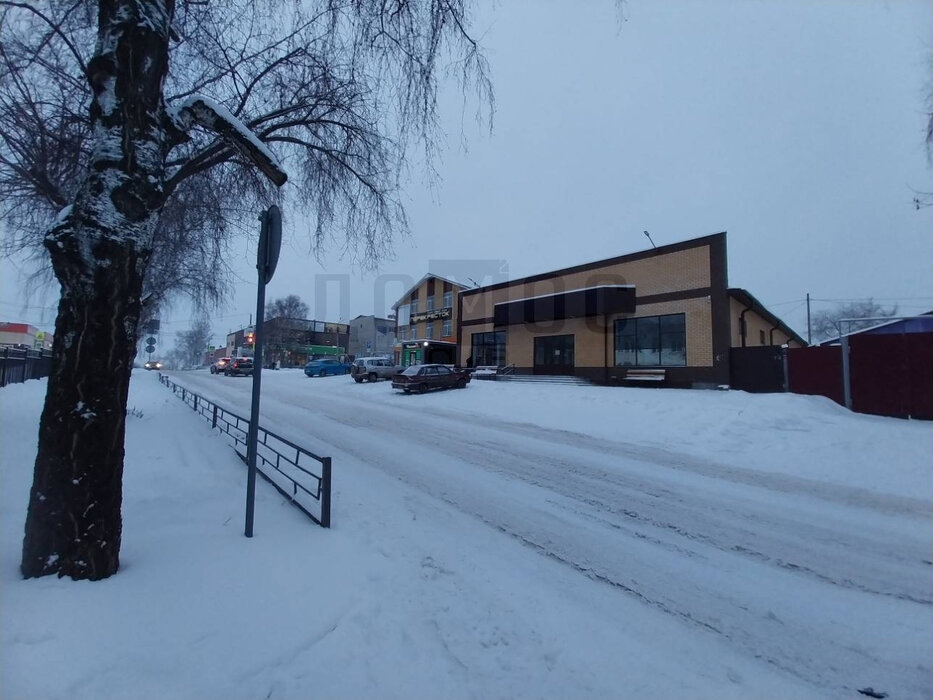 г. Реж, ул. Большевиков, 9 (городской округ Режевской) - фото торговой площади (8)