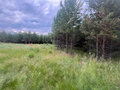 Продажа земельного участка: с. Сосновское, ул. Новая (городской округ Город Каменск-Уральский) - Фото 6