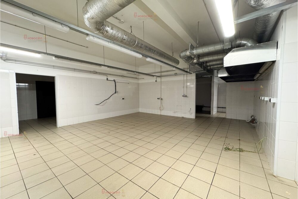 Екатеринбург, ул. Ленина, 49 (Центр) - фото торговой площади (8)