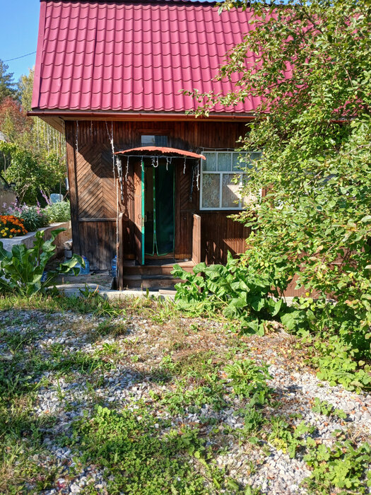 Екатеринбург, КС Буровик (Палкинский торфяник) - фото сада (5)