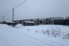 с. Николо-Павловское, ул. Александровсая (городской округ Горноуральский) - фото земельного участка