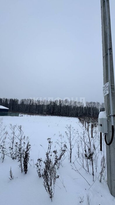 с. Николо-Павловское, ул. Александровсая (городской округ Горноуральский) - фото земельного участка (4)