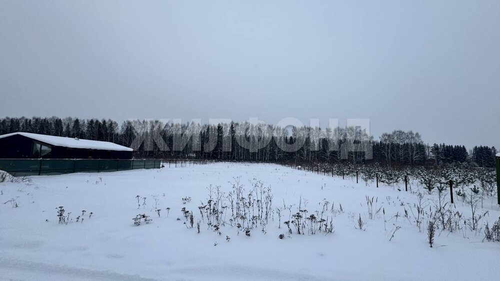 с. Николо-Павловское, ул. Александровсая (городской округ Горноуральский) - фото земельного участка (5)