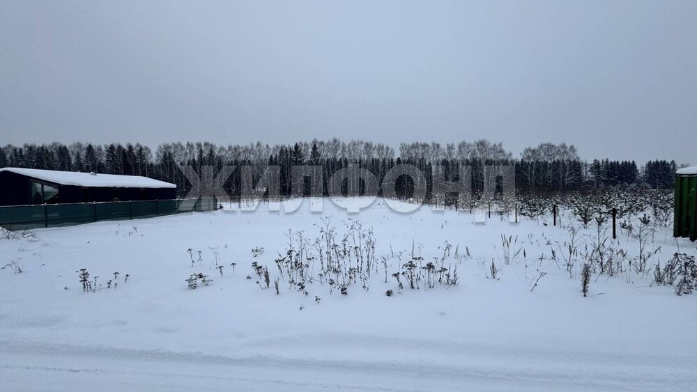 с. Николо-Павловское, ул. Александровсая (городской округ Горноуральский) - фото земельного участка (7)