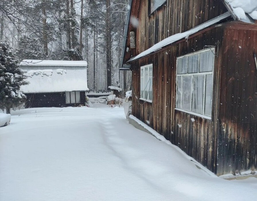 Екатеринбург, СНТ Мелиоратор, уч. 84 - фото сада (3)