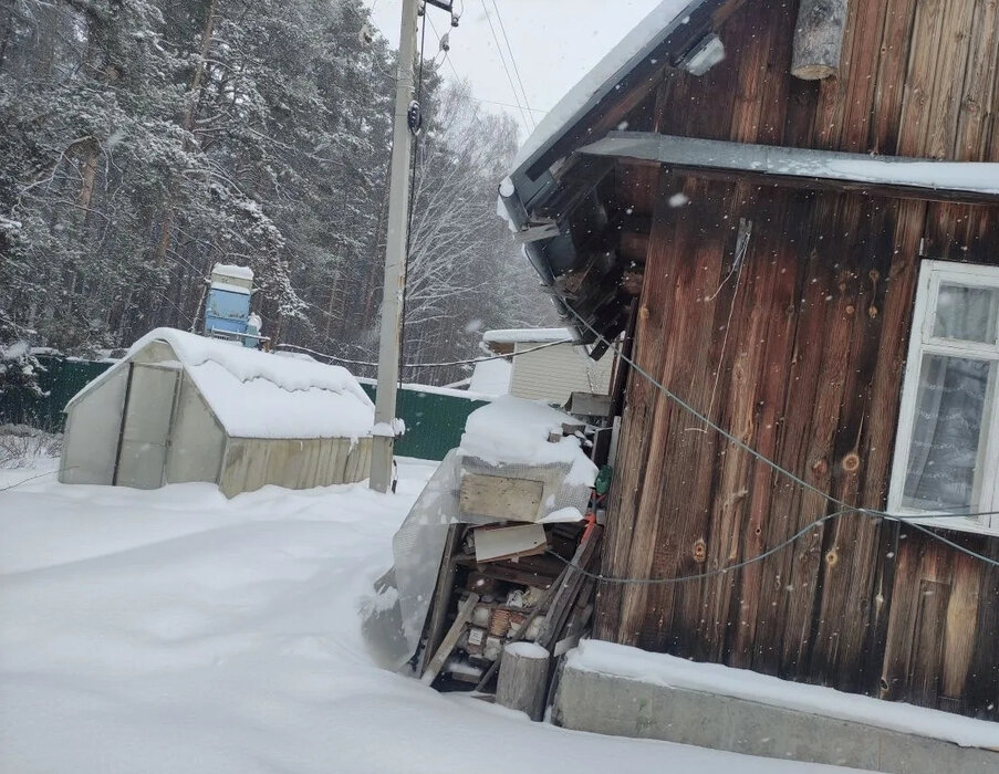 Екатеринбург, СНТ Мелиоратор, уч. 84 - фото сада (4)