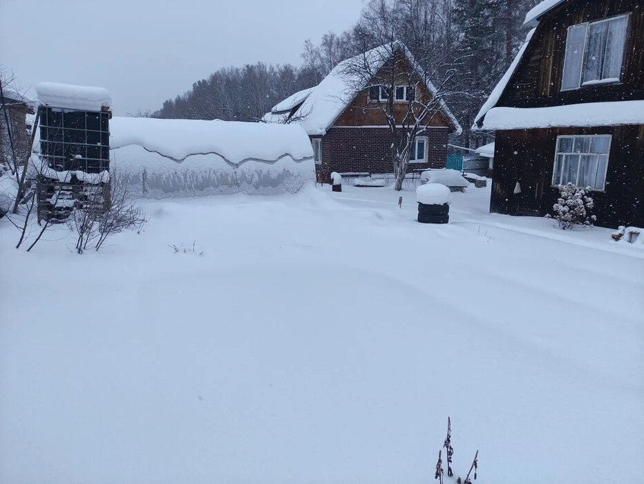 Екатеринбург, СНТ Мелиоратор, уч. 84 - фото сада (6)