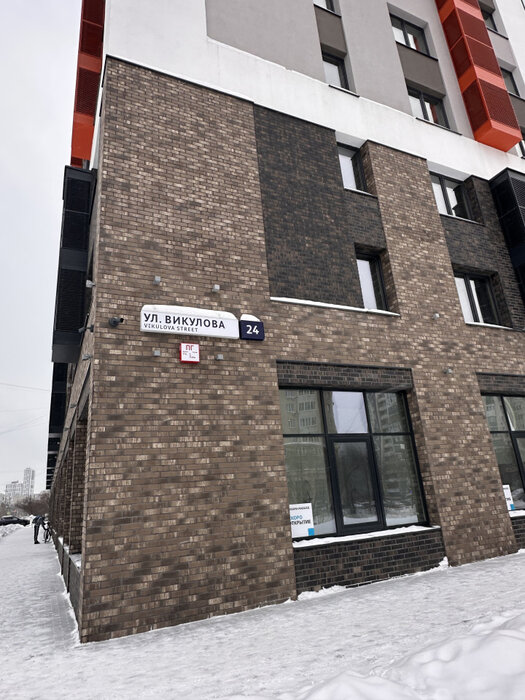 Екатеринбург, ул. Викулова, 24 (ВИЗ) - фото квартиры (3)