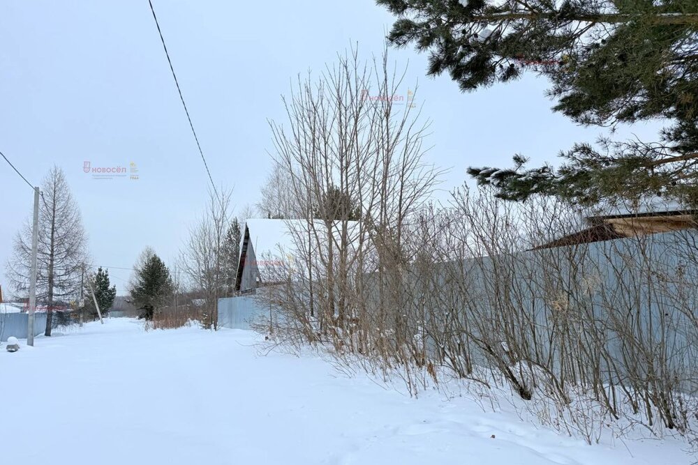 пгт. Верхнее Дуброво, СТ Гипроторг, уч. 94 (городской округ Верхнее Дуброво) - фото сада (5)