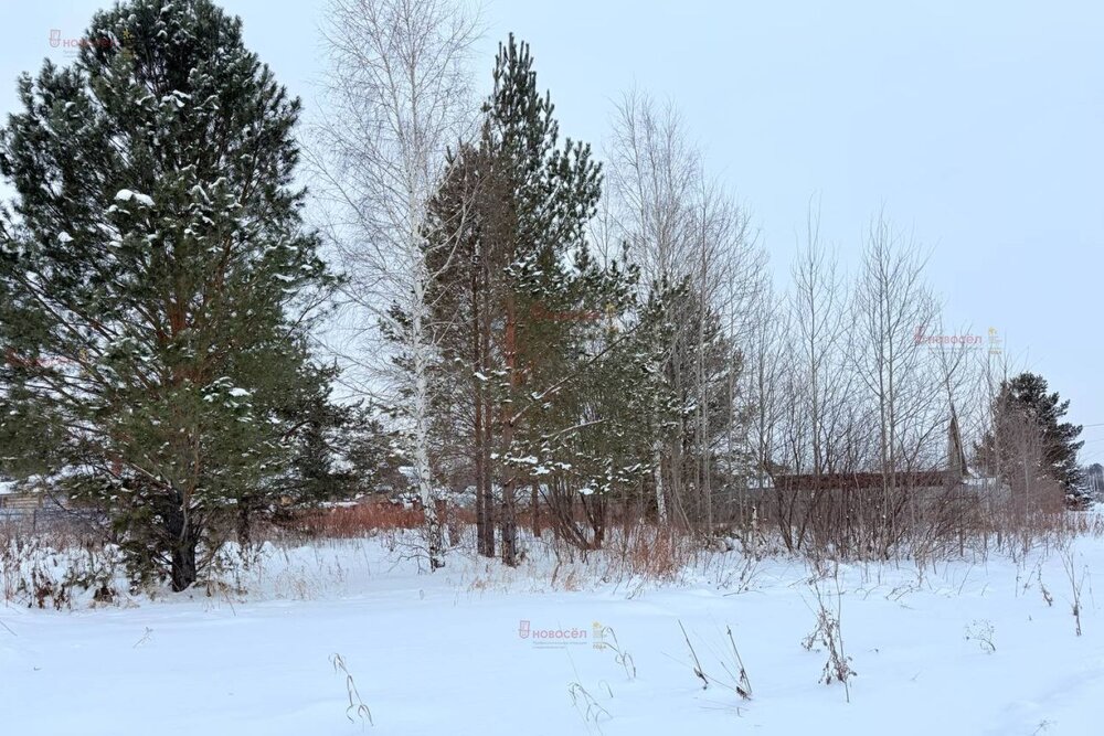 пгт. Верхнее Дуброво, СТ Гипроторг, уч. 94 (городской округ Верхнее Дуброво) - фото сада (6)