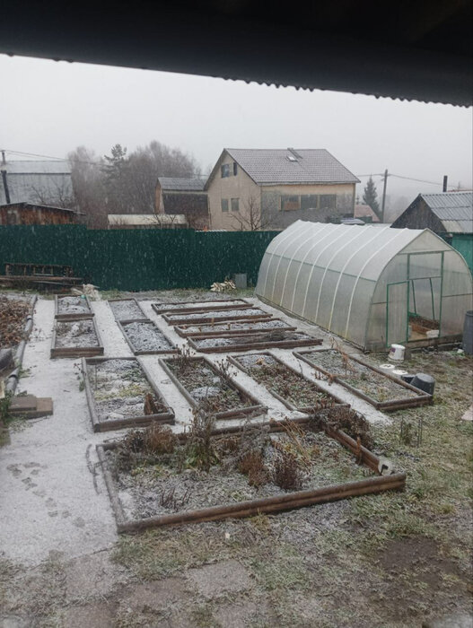 п. Березит, коллективный сад Дальний Березит, уч. 207 (городской округ Екатеринбург) - фото сада (3)