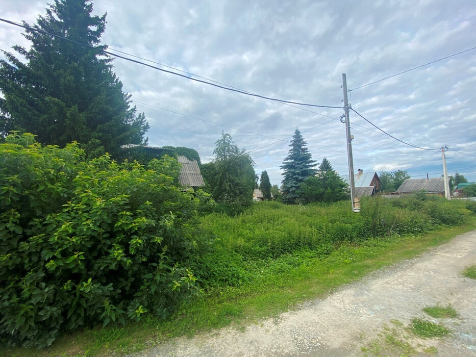 Екатеринбург, СНТ. Березка , уч. 30 (Карасьеозерск) - фото сада (1)