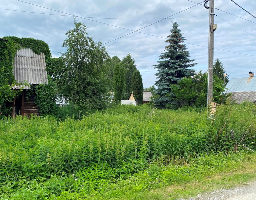 Екатеринбург, СНТ. Березка , уч. 30 (Карасьеозерск) - фото сада (2)