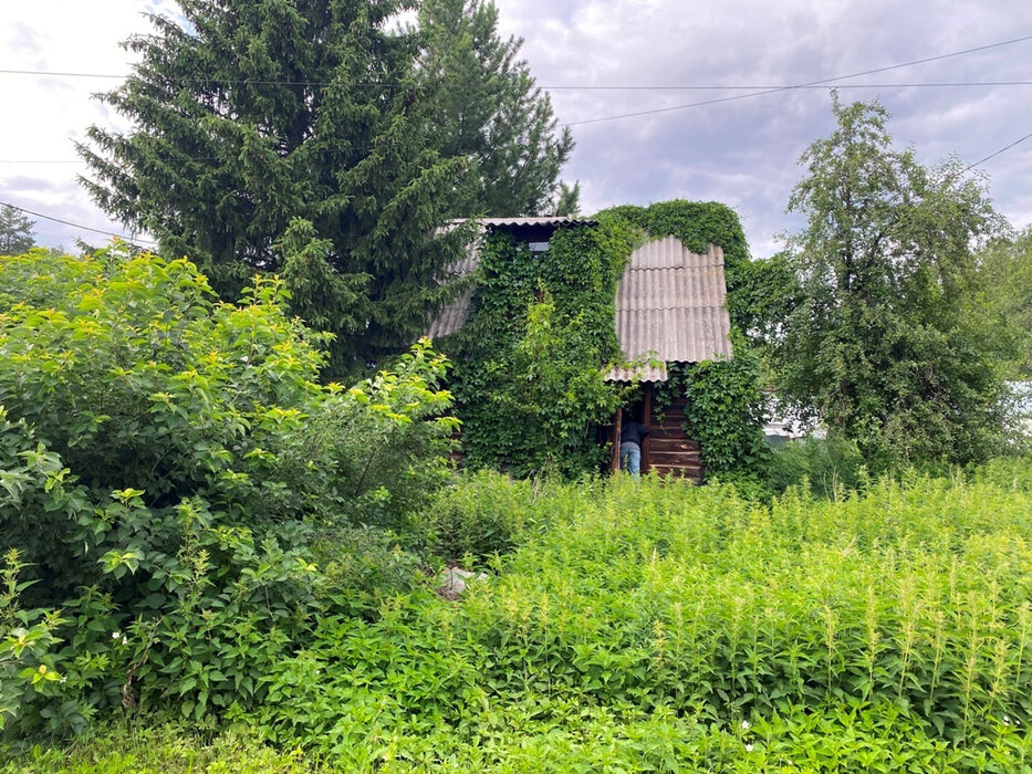 Екатеринбург, СНТ. Березка , уч. 30 (Карасьеозерск) - фото сада (3)