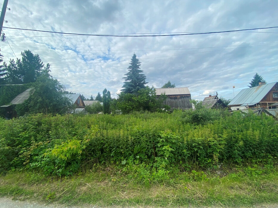 Екатеринбург, СНТ. Березка , уч. 30 (Карасьеозерск) - фото сада (4)