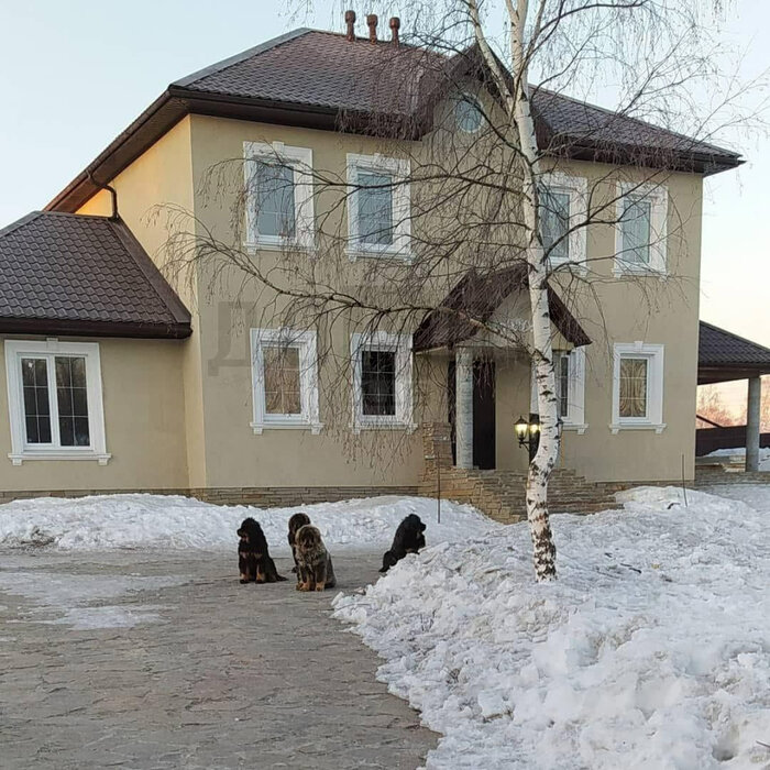 п. Монетный, ул. Свободы, 55 (городской округ Березовский) - фото коттеджа (1)