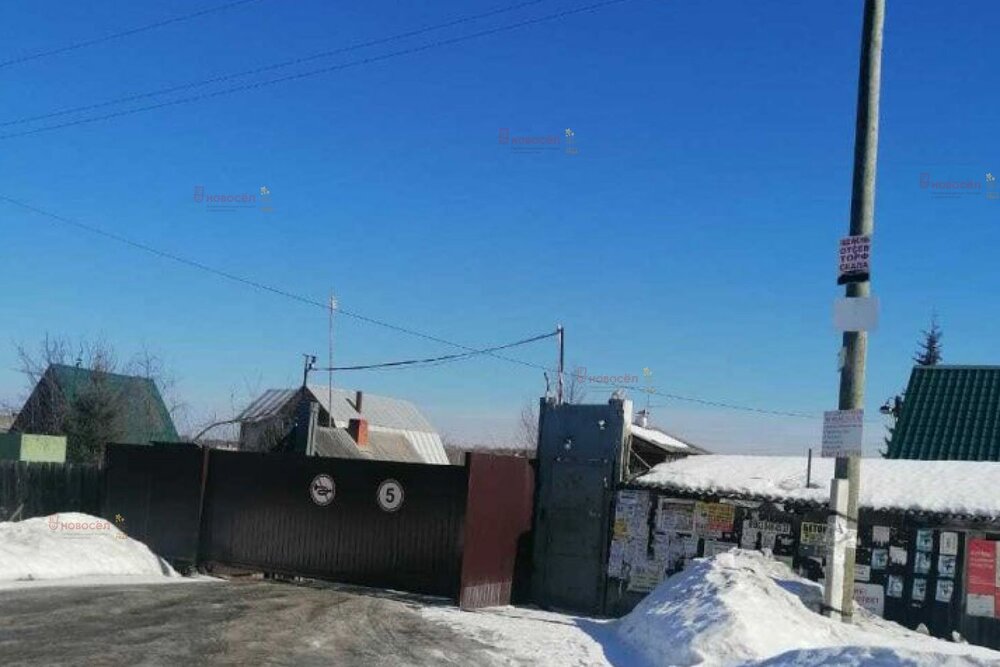 п. Соколовка, СНТ Сокол-2, уч.   (городской округ Верхняя Пышма) - фото сада (3)