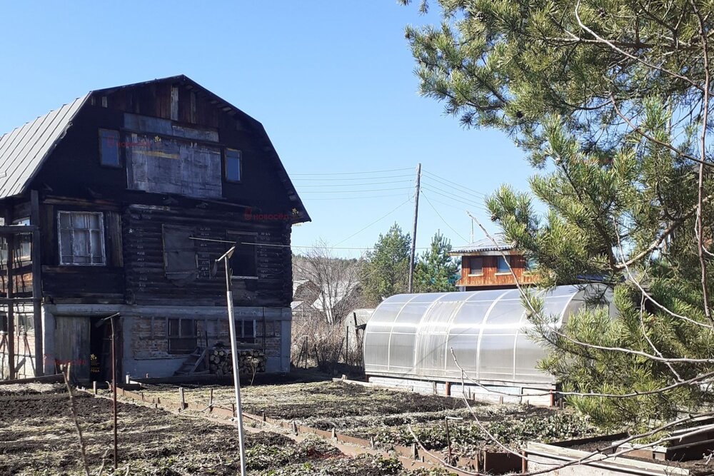 п. Соколовка, СНТ Сокол-2, уч.   (городской округ Верхняя Пышма) - фото сада (6)