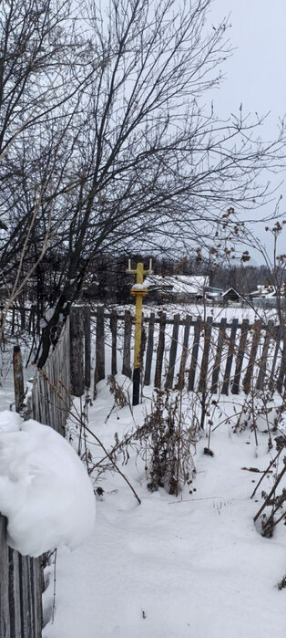 с. Новоипатово, ул. Мира, 65 (городской округ Сысертский) - фото дома (4)