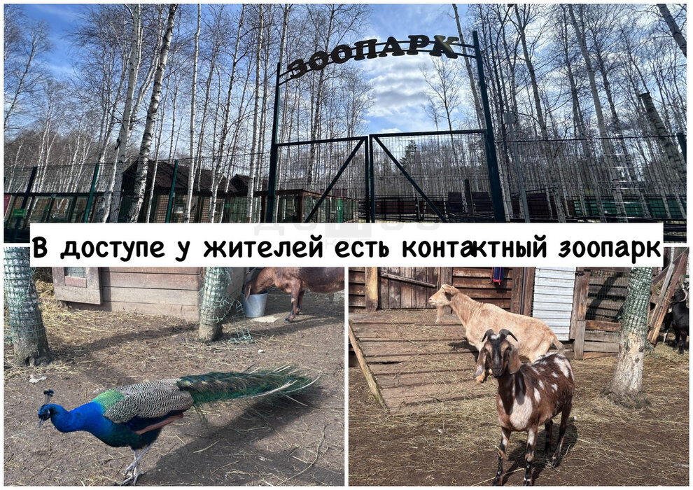 п. Габиевский, ул. кв-л. Косуля, 199 (городской округ Сысертский) - фото земельного участка (11)