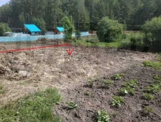 г. Сысерть, садовые участки Геолог, уч. 17 (городской округ Сысертский) - фото сада (1)