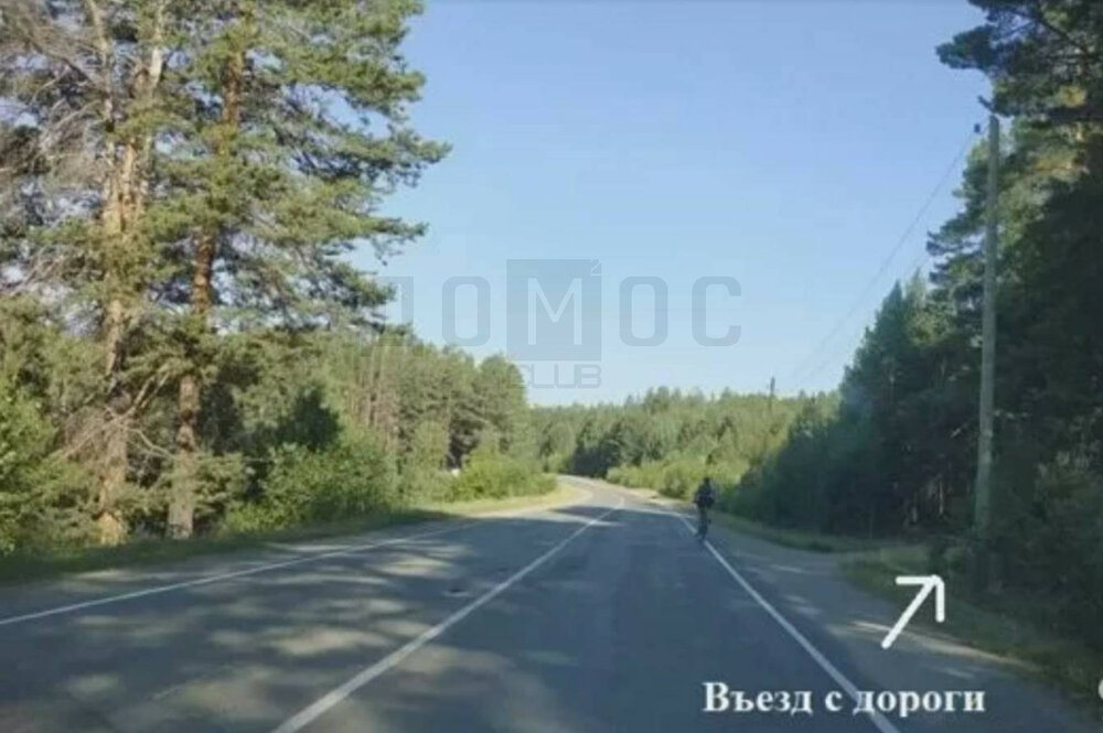 г. Сысерть, садовые участки Геолог, уч. 17 (городской округ Сысертский) - фото сада (3)