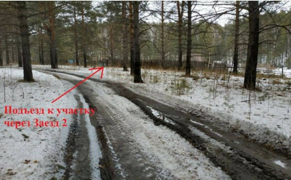 г. Сысерть, садовые участки Геолог, уч. 17 (городской округ Сысертский) - фото сада (4)