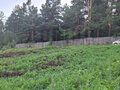 Продажа садового участка: г. Сысерть, садовые участки Геолог, уч. 17 (городской округ Сысертский) - Фото 7