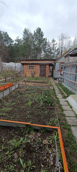 Екатеринбург, коллективный сад Лесовод (Елизавет) - фото сада (5)