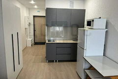 Екатеринбург, ул. Новостроя, 3а (Елизавет) - фото квартиры