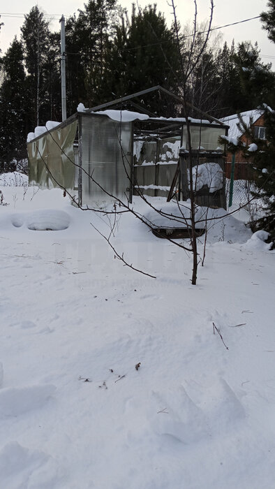 Екатеринбург, к/с  Ручеёк, уч. 47 (Сулимовский торфяник) - фото сада (1)