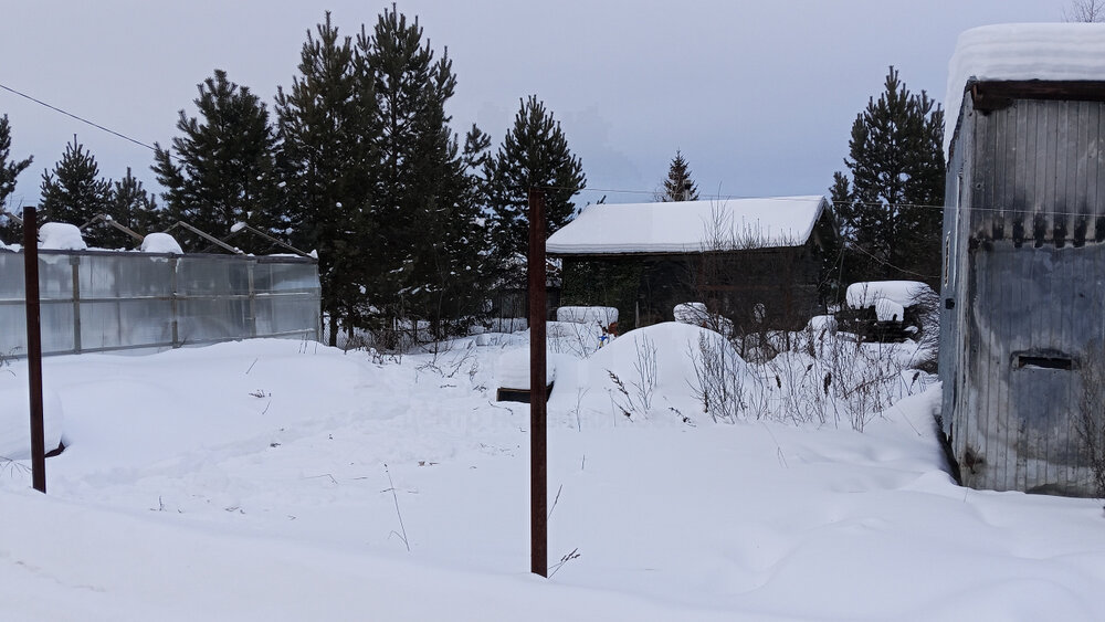 Екатеринбург, к/с  Ручеёк, уч. 47 (Сулимовский торфяник) - фото сада (3)