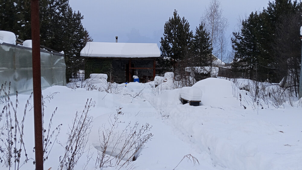 Екатеринбург, к/с  Ручеёк, уч. 47 (Сулимовский торфяник) - фото сада (4)