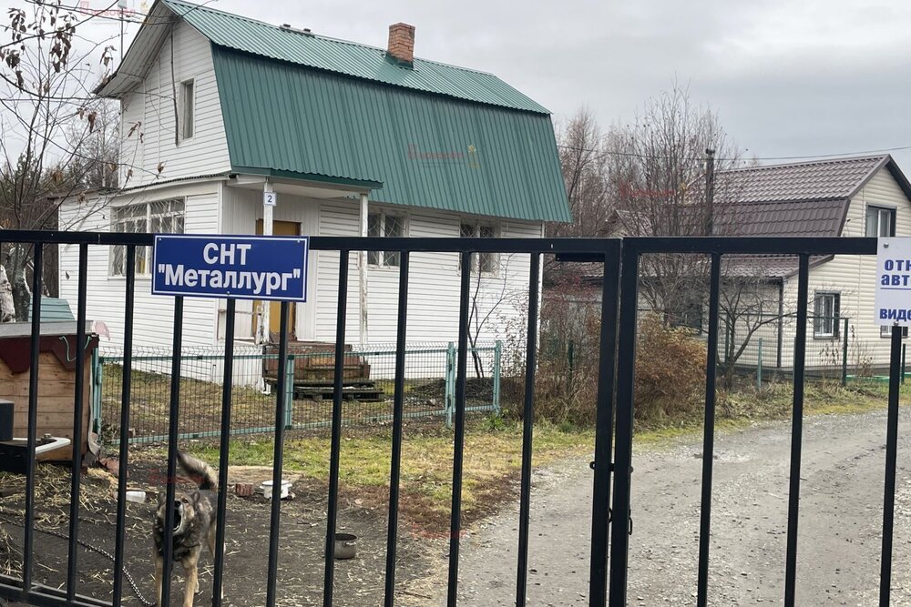 д. Большое Седельниково, с/т Металлург (городской округ Сысертский) - фото сада (2)