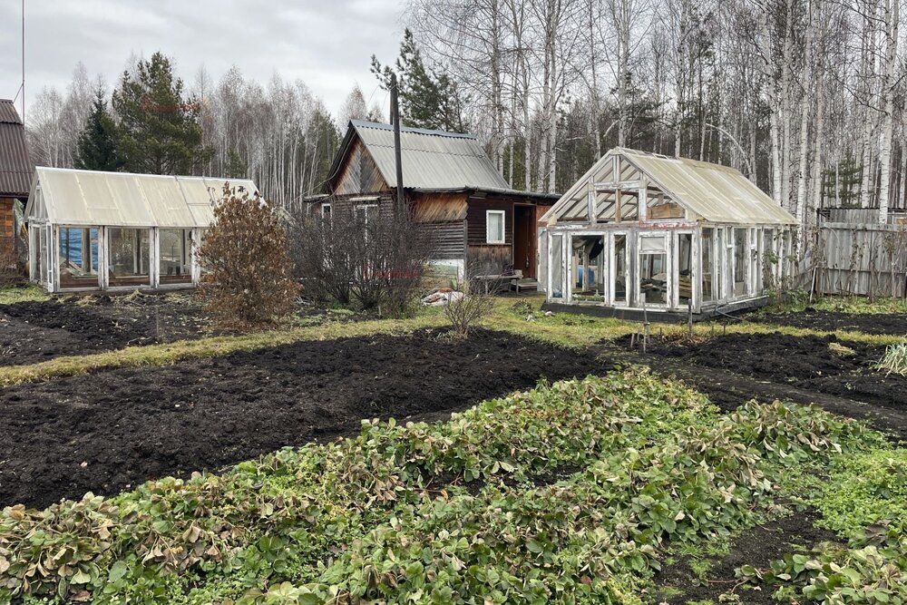 д. Большое Седельниково, с/т Металлург (городской округ Сысертский) - фото сада (4)