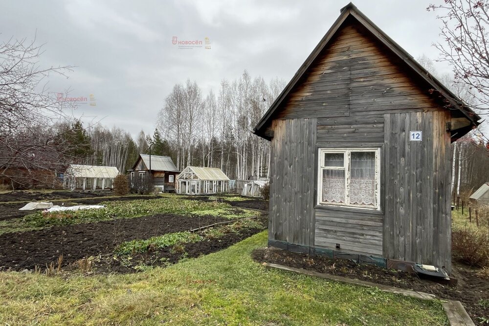 д. Большое Седельниково, с/т Металлург (городской округ Сысертский) - фото сада (4)